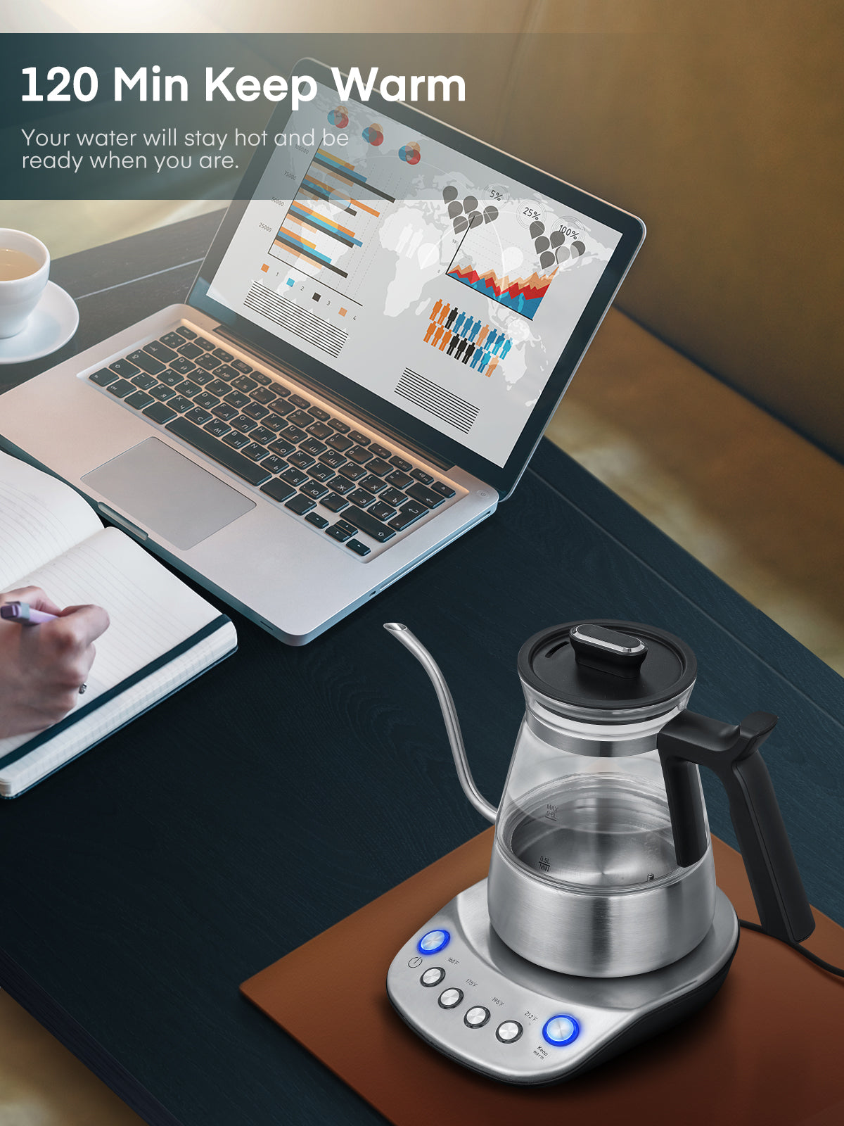 Electric Gooseneck Glass Kettle with Temperature Control, 1200W Rapid Boiling Electric Kettle for Pour-Over Tea Coffee, LCD Display, 2H Keep Warm, 0.8L, Silver